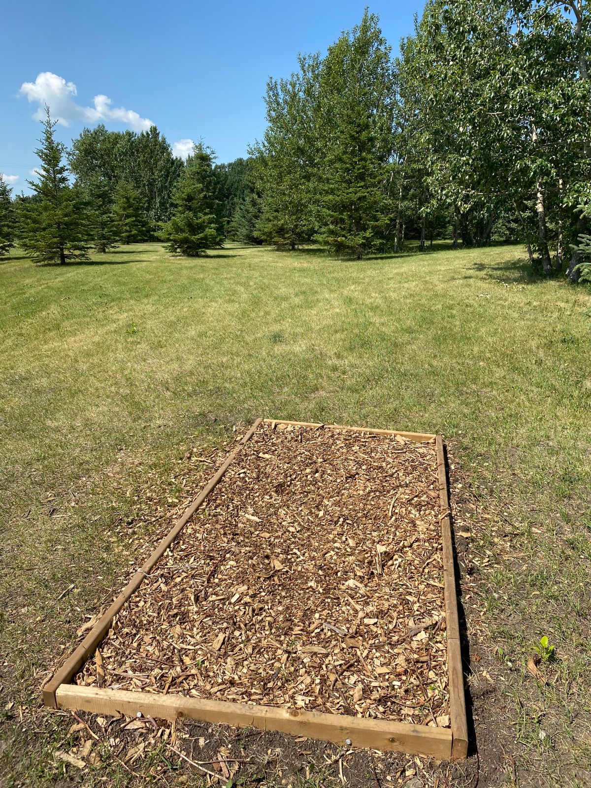 Tee boxes are a decent start but would be better dug down and leveled with ground to prevent trippin