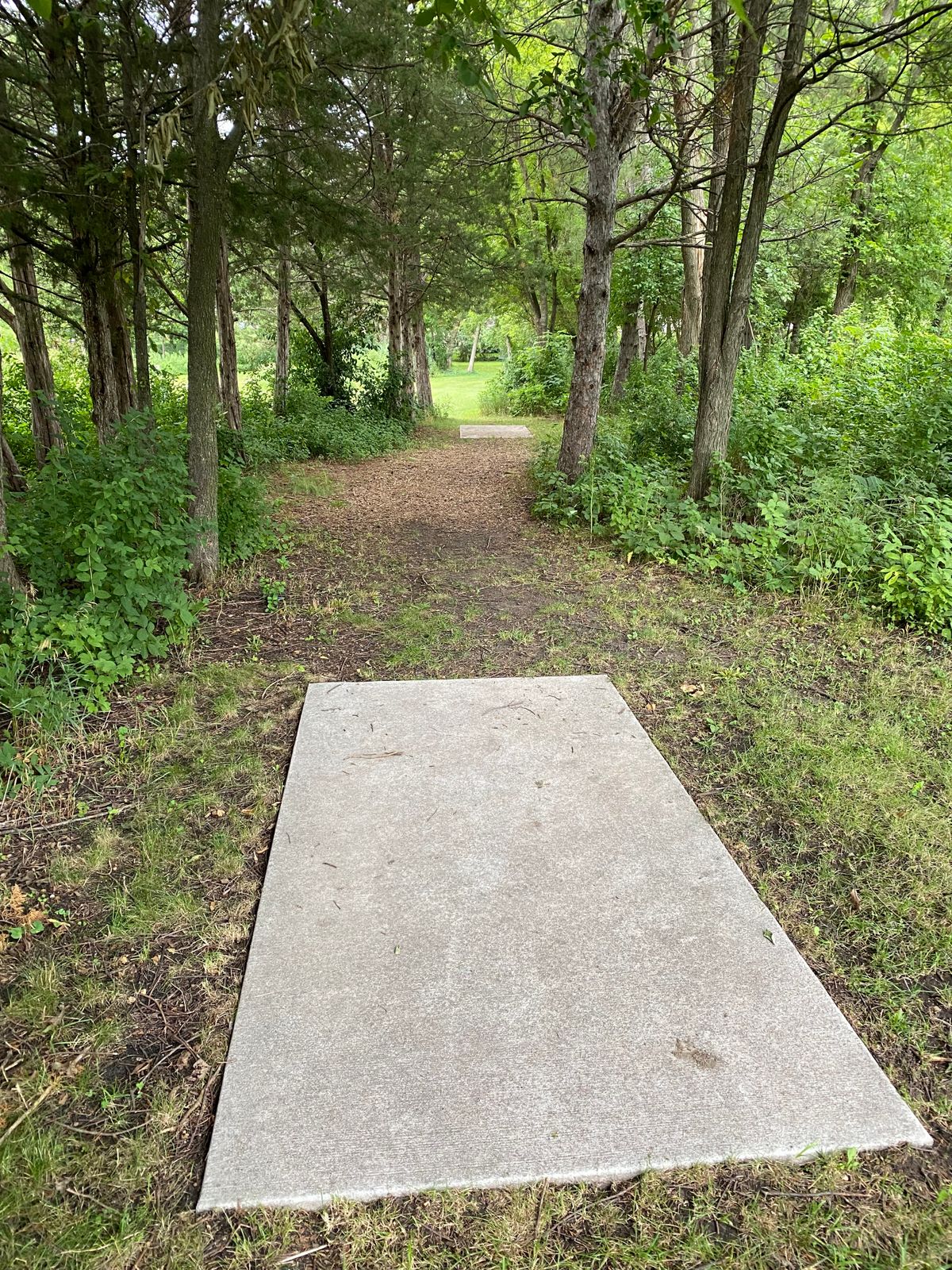 Hole 8 (Long)