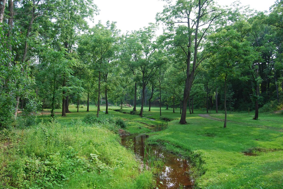 looking down 15's fairway from bridge, left side of creek is OB