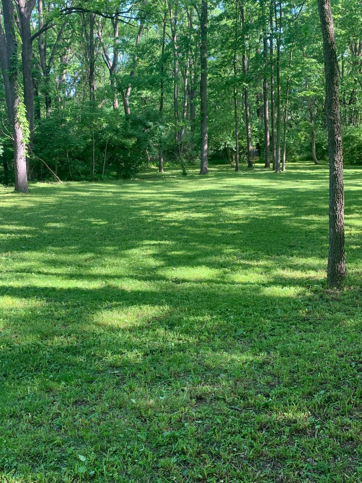 Hole 9 fairway
