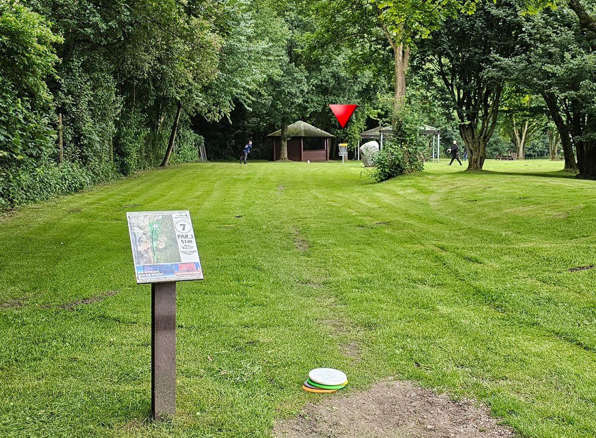 9 - tee - Goldfisch-Layout