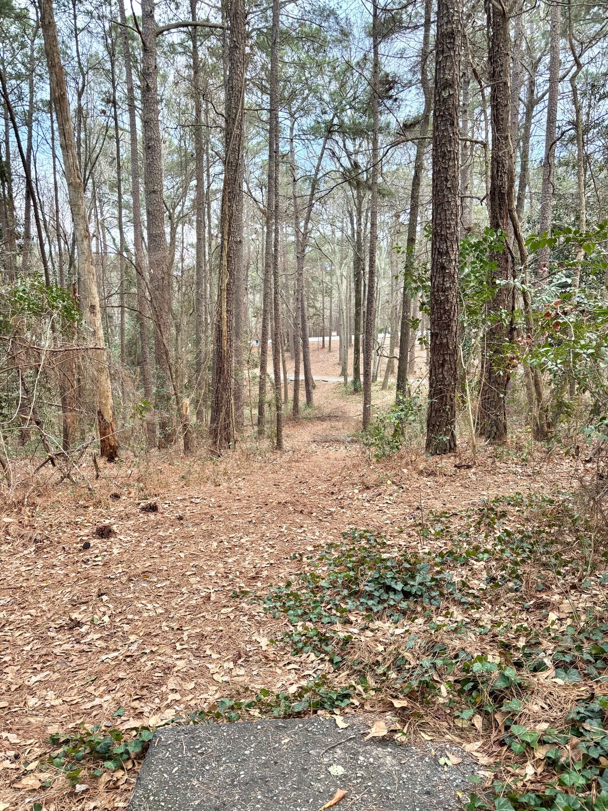 Hole 9 Tee
