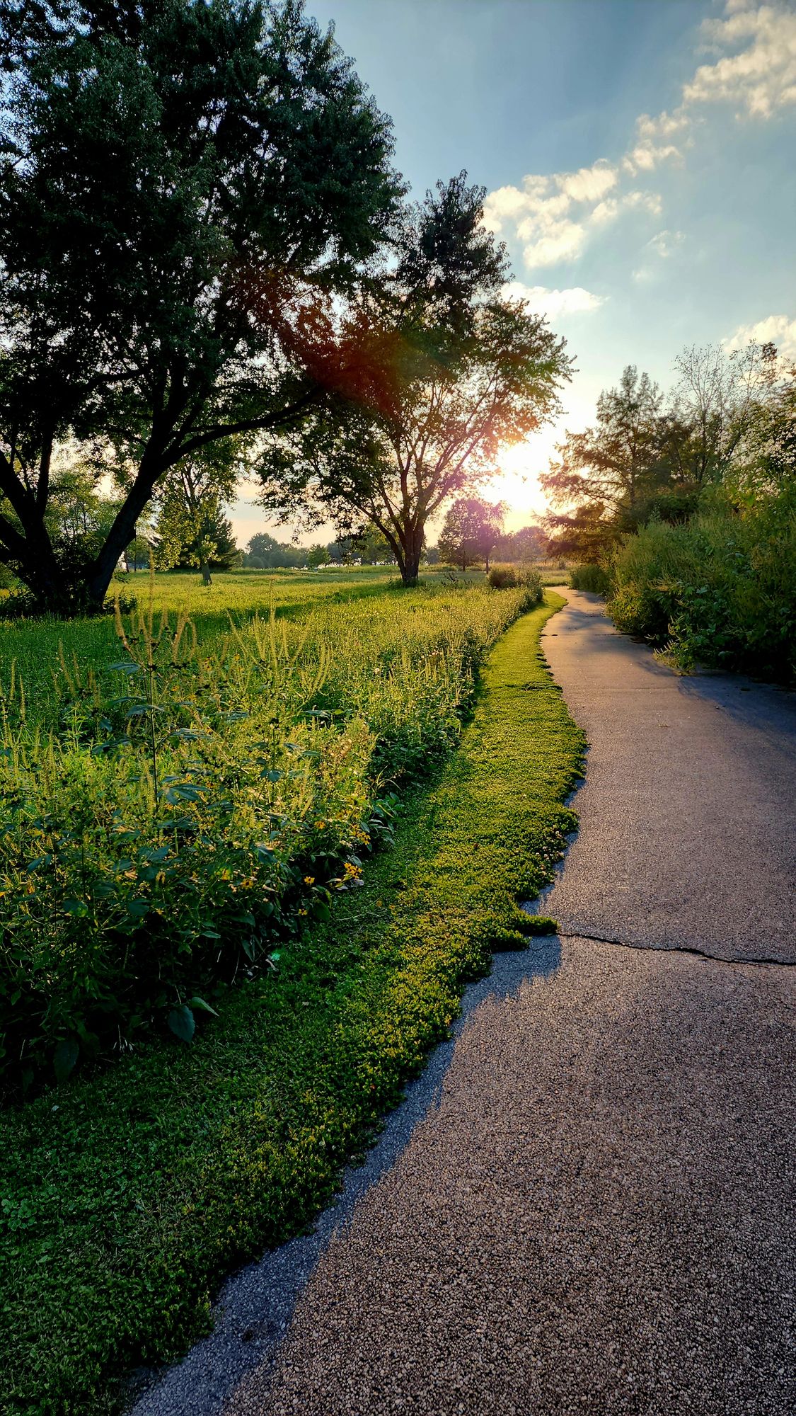 Path in-between holes 9 and 10.