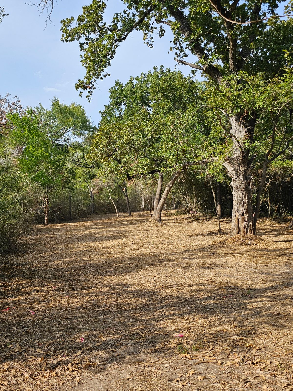 Hole 16 Fairway