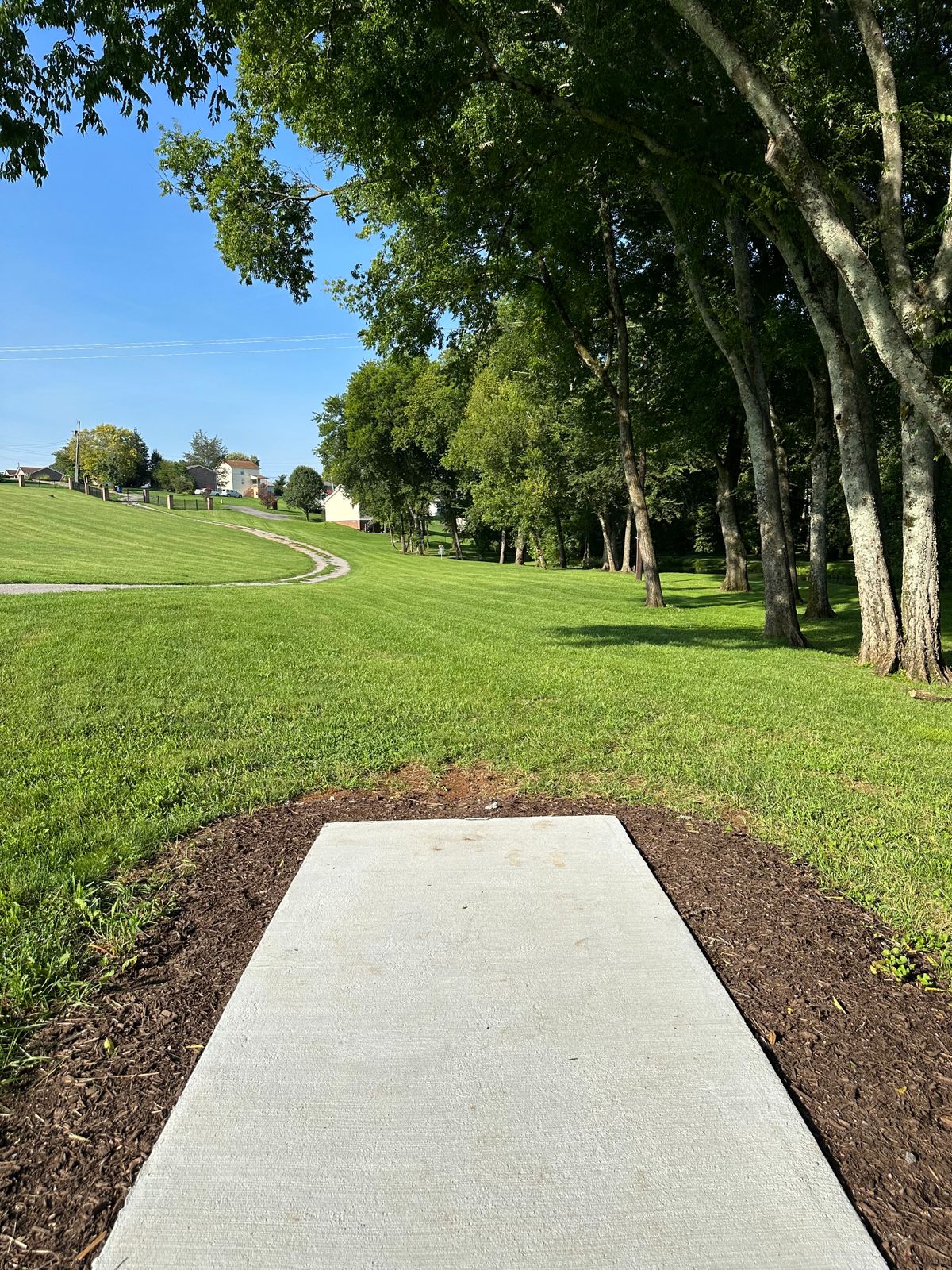 Hole 6 tee