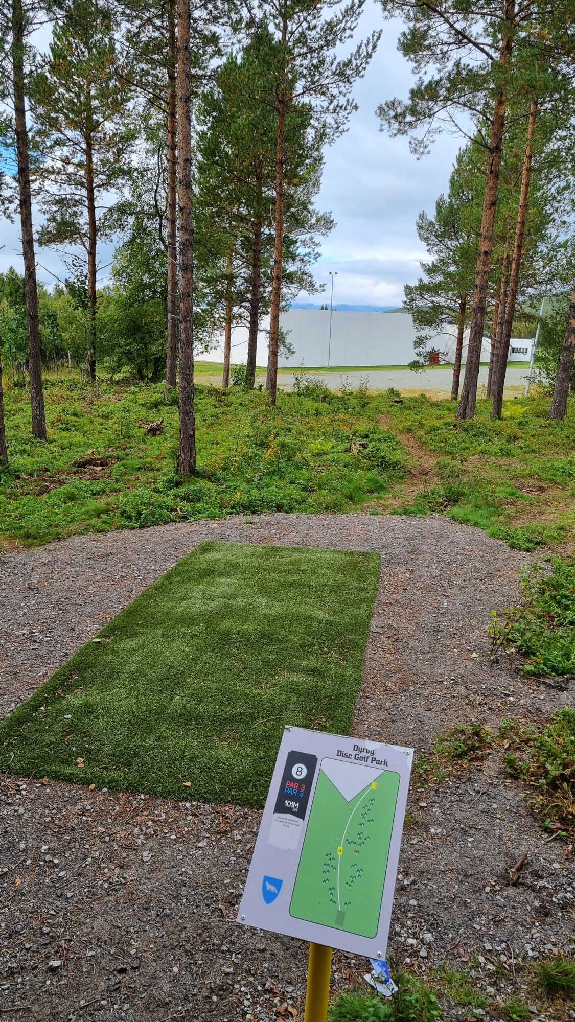 Tee 8
