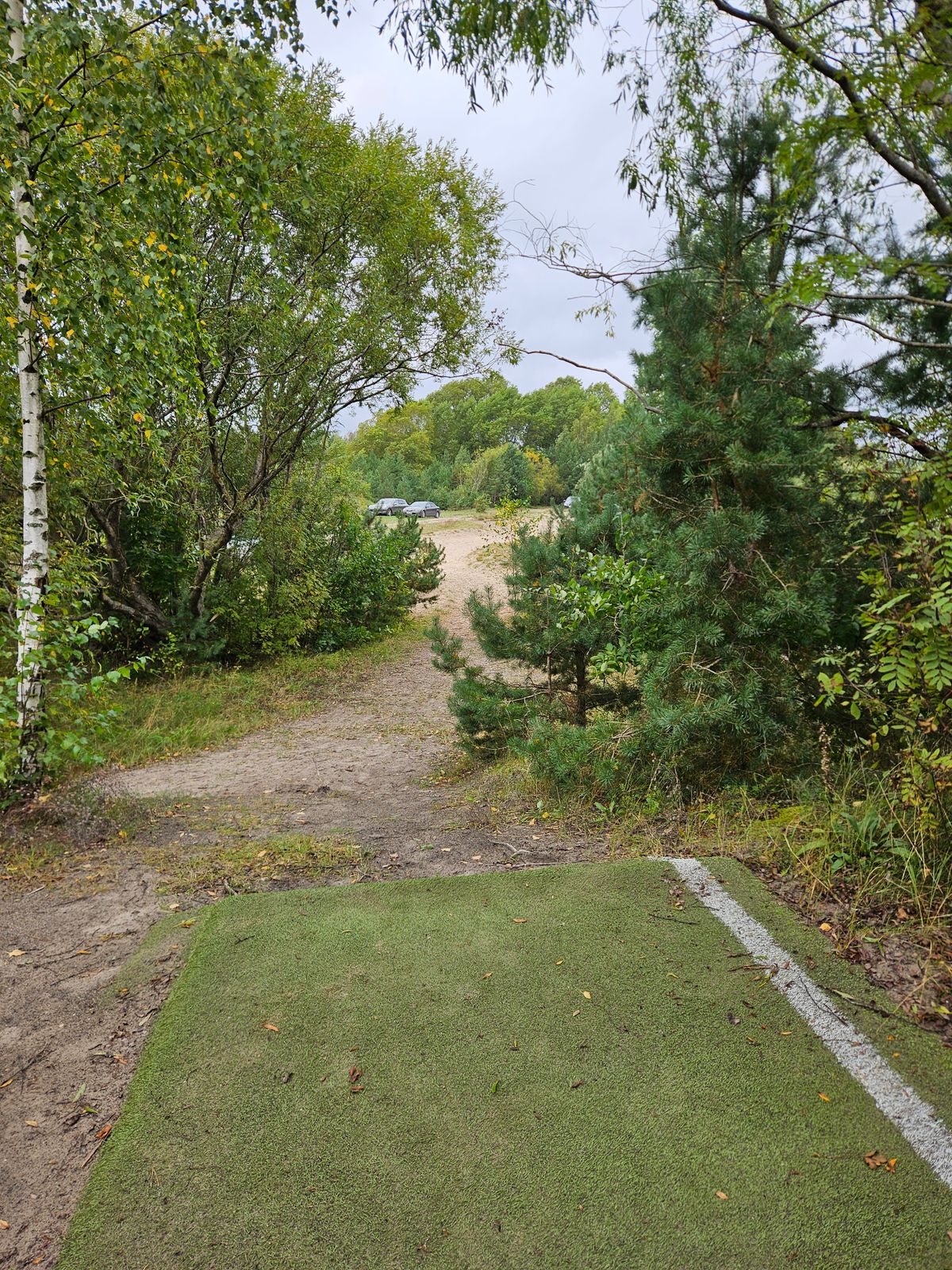 Cars on the fairway -> skipped