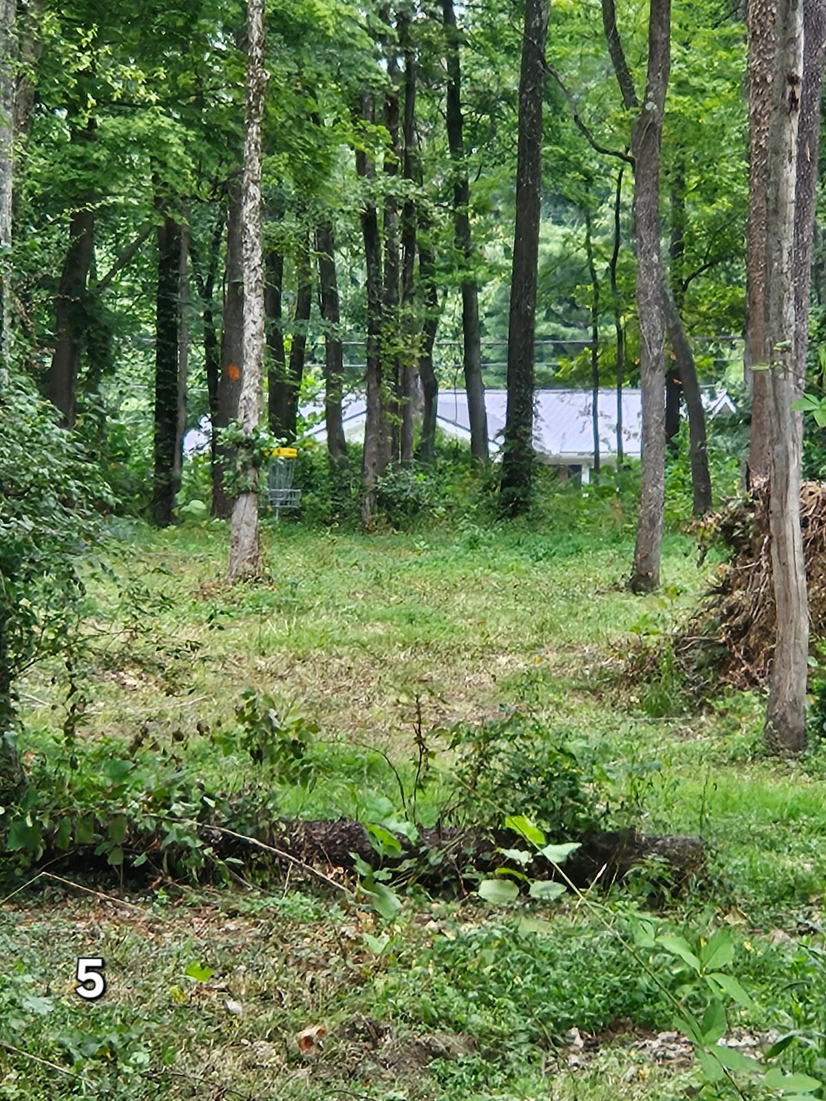 Hole 5