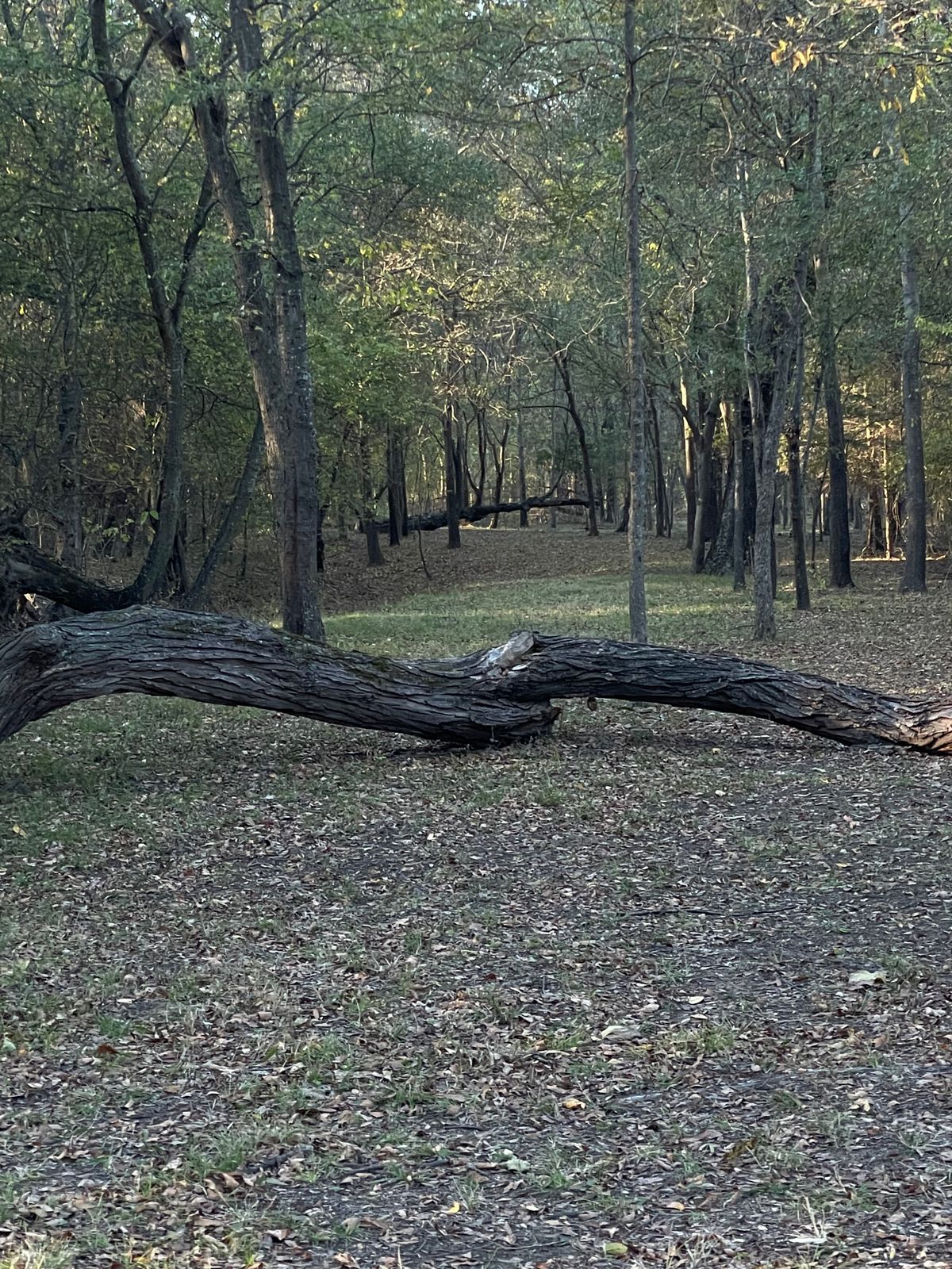 Still 14. Cool shot over fun fall.
