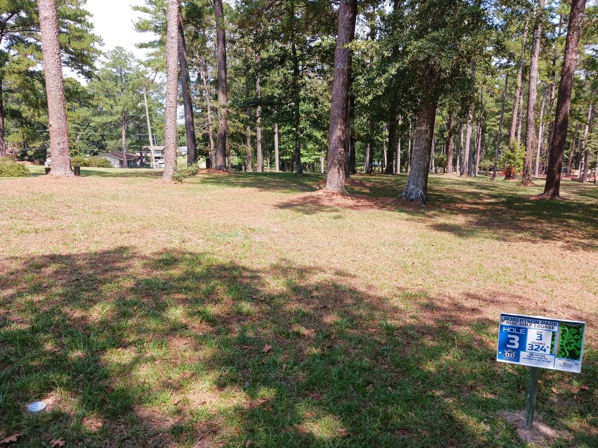 Hole 3