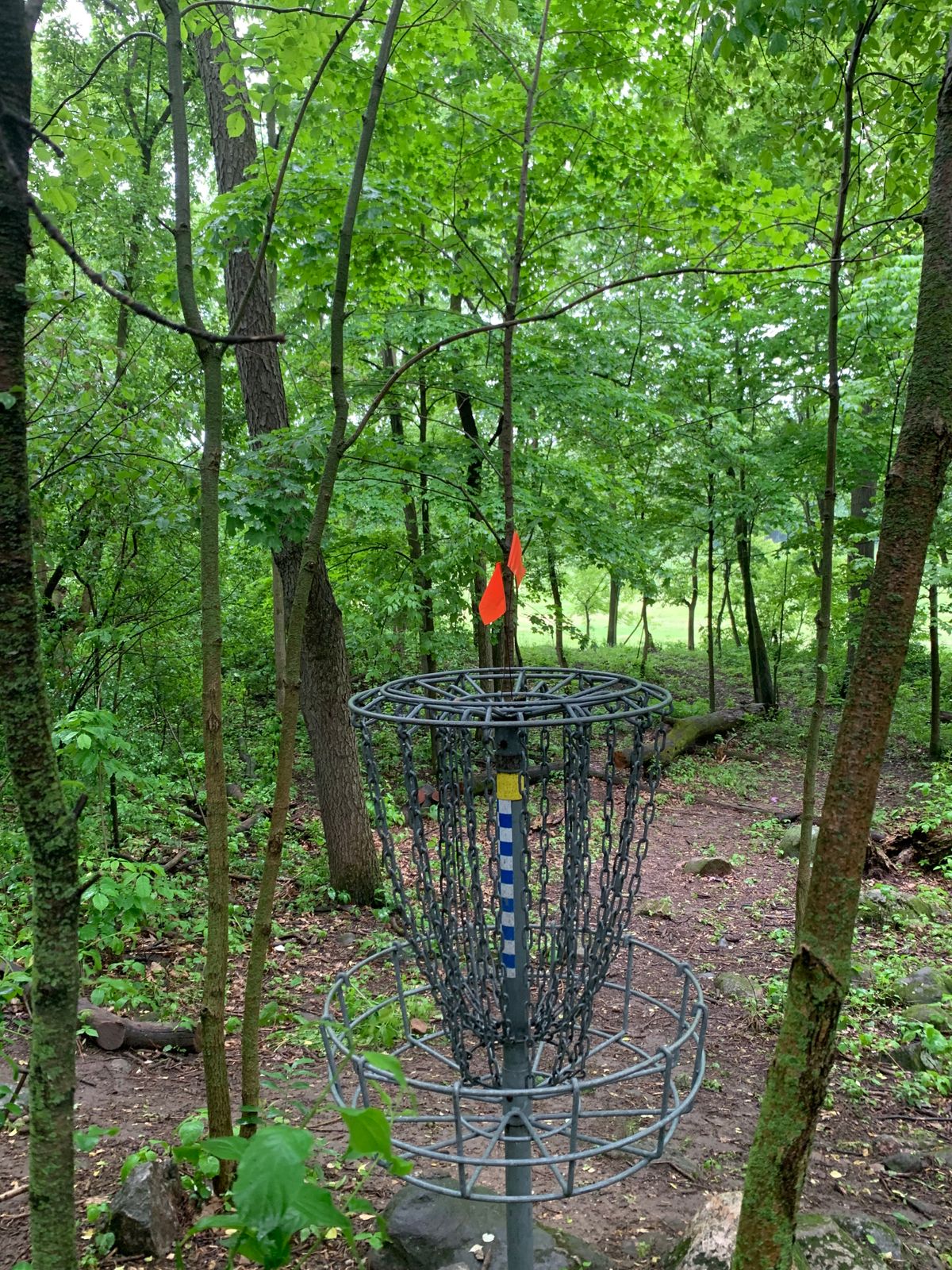 Hole 5 - Pin C