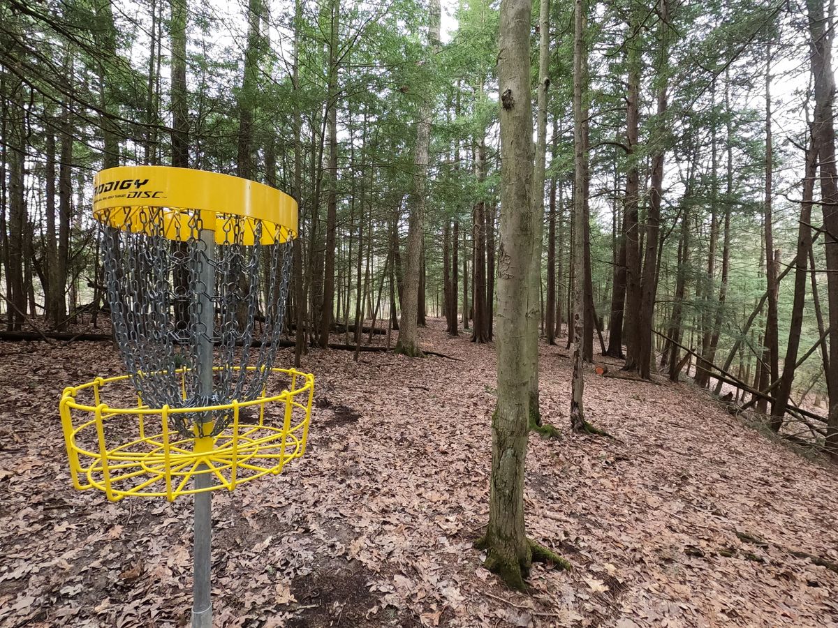 Hole #10 Basket