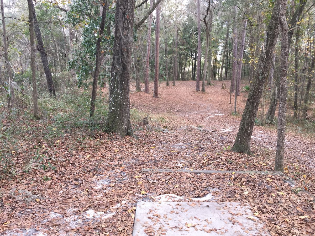 Hole 1