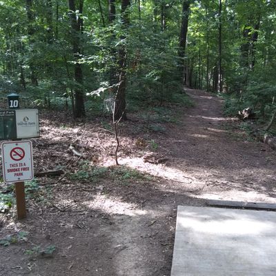 #10's tee shot bends left for a shot at a deuce on the red target.  The yellow target is a long s-curve shot that finishes to the right