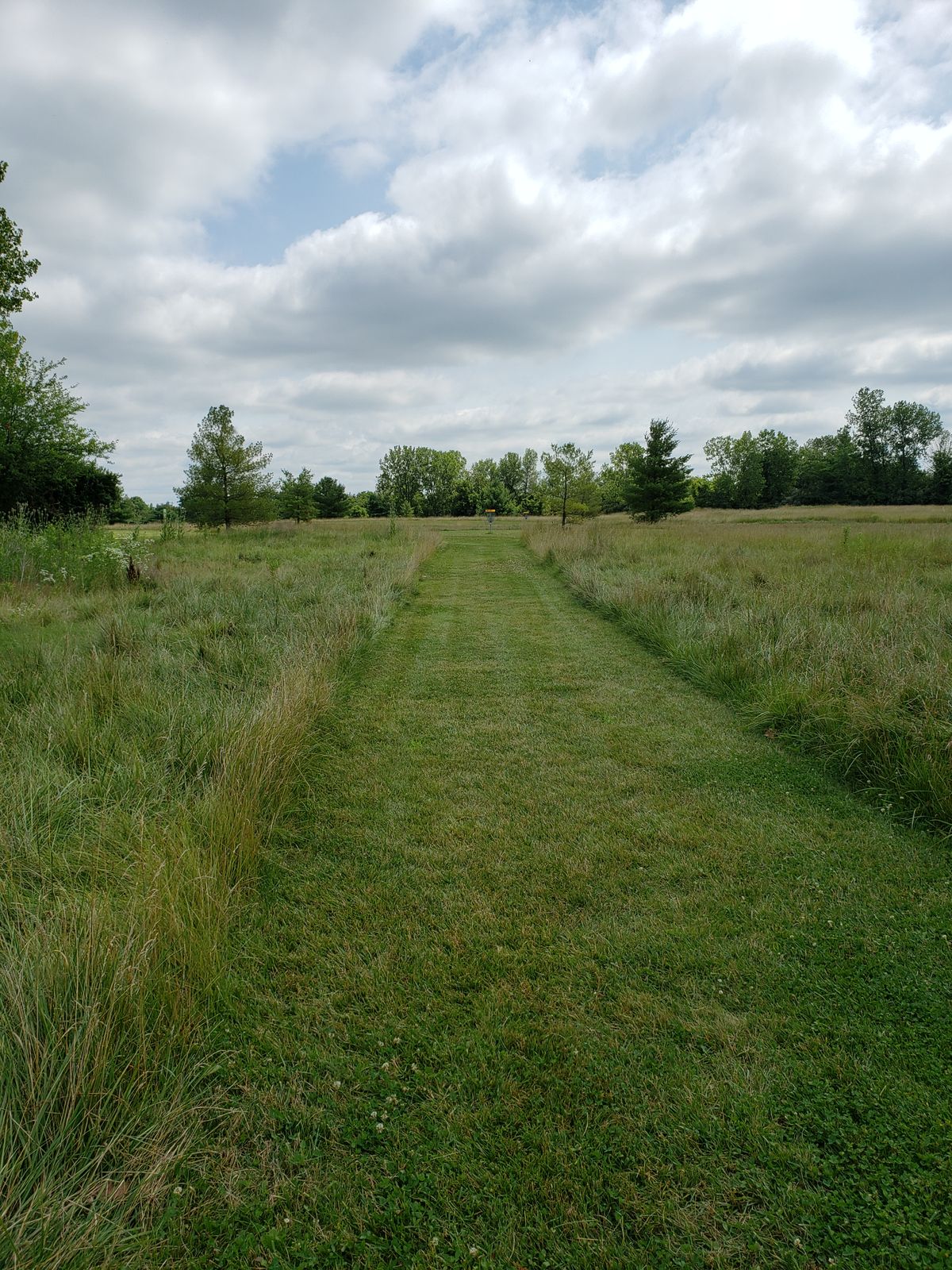 #9 Fairway view.