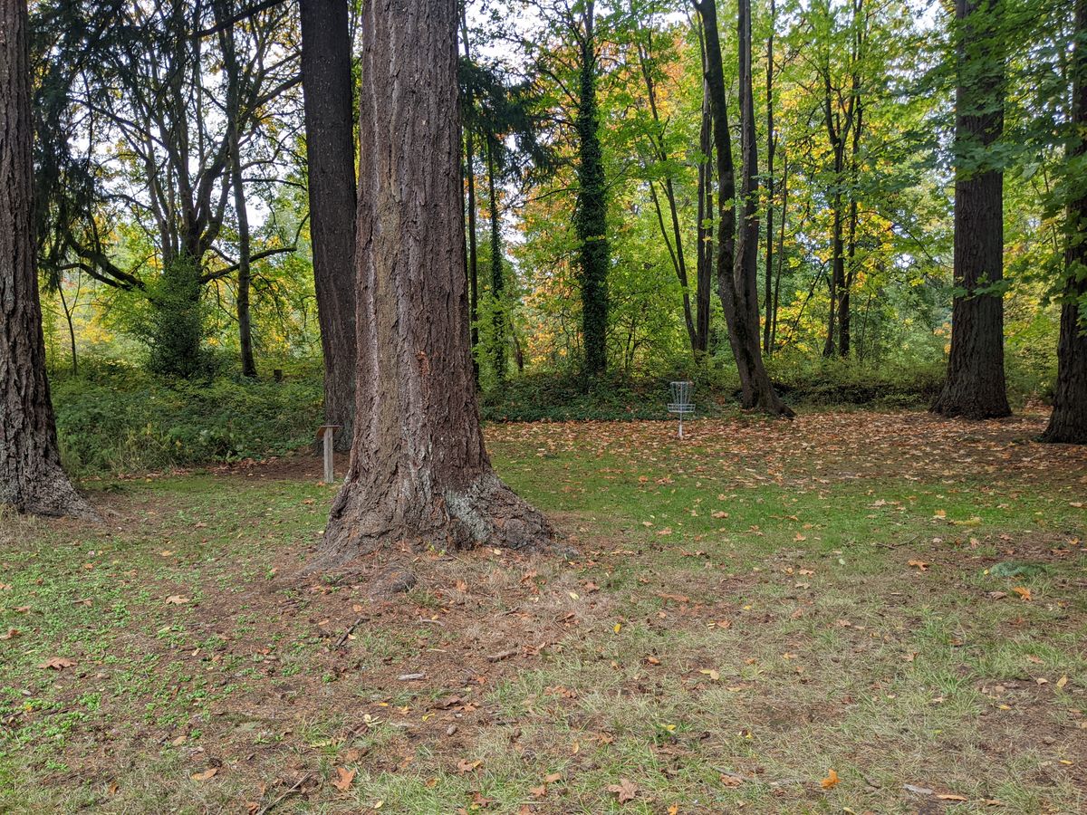 Tee 6 on the left and basket 5 on the right.  Too close. 