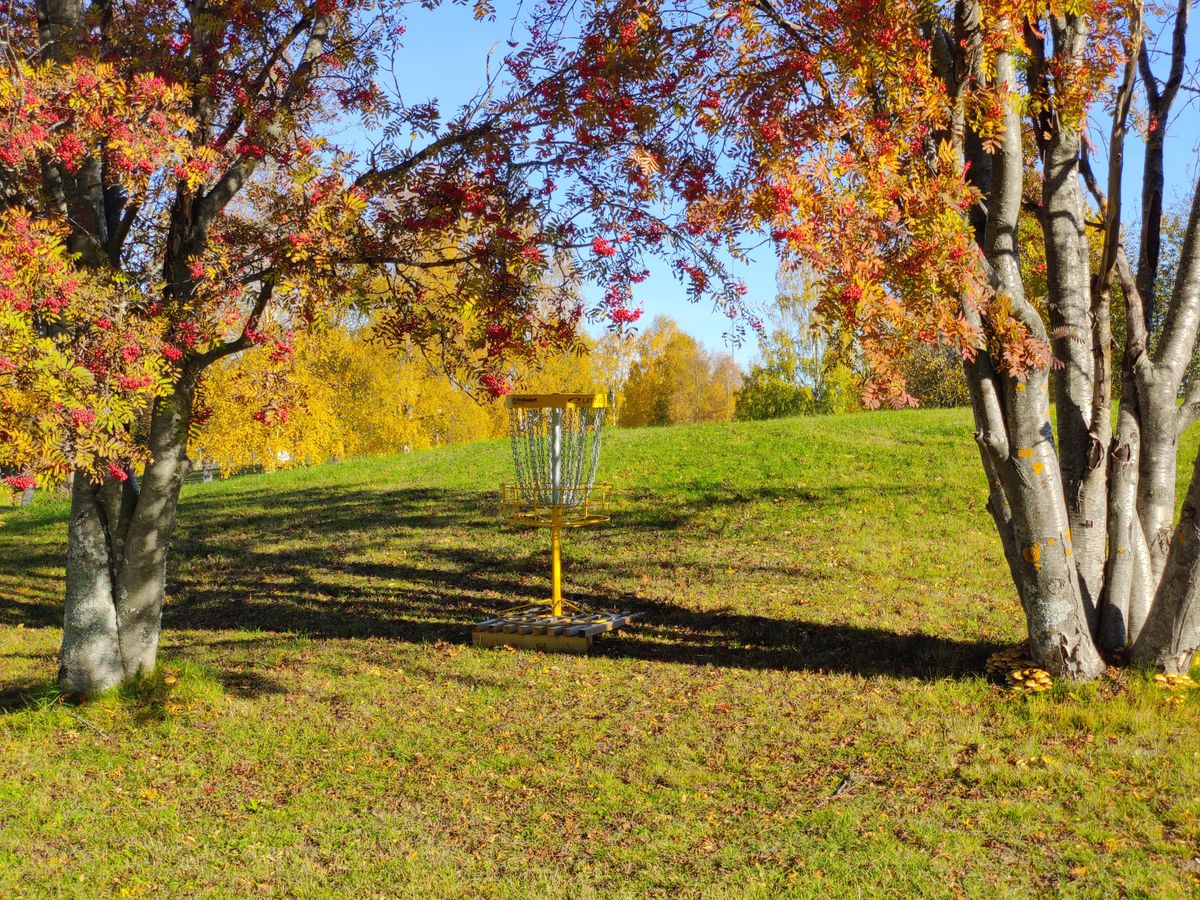 Green hole #6