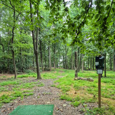 Hole 7