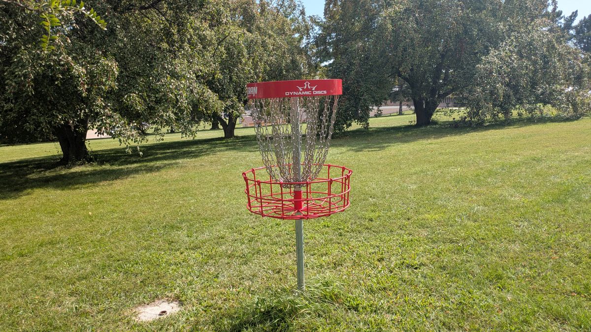 Basket 7