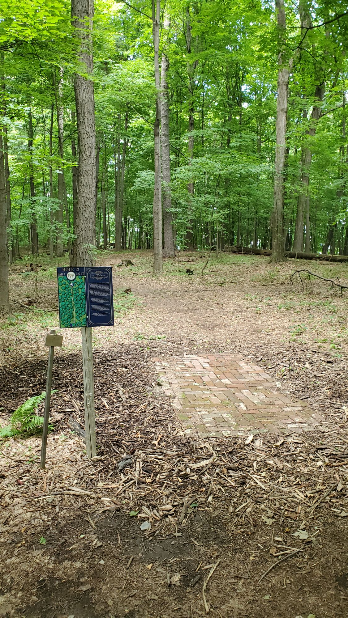 12s tee pad.  Brick tee pads in the woods