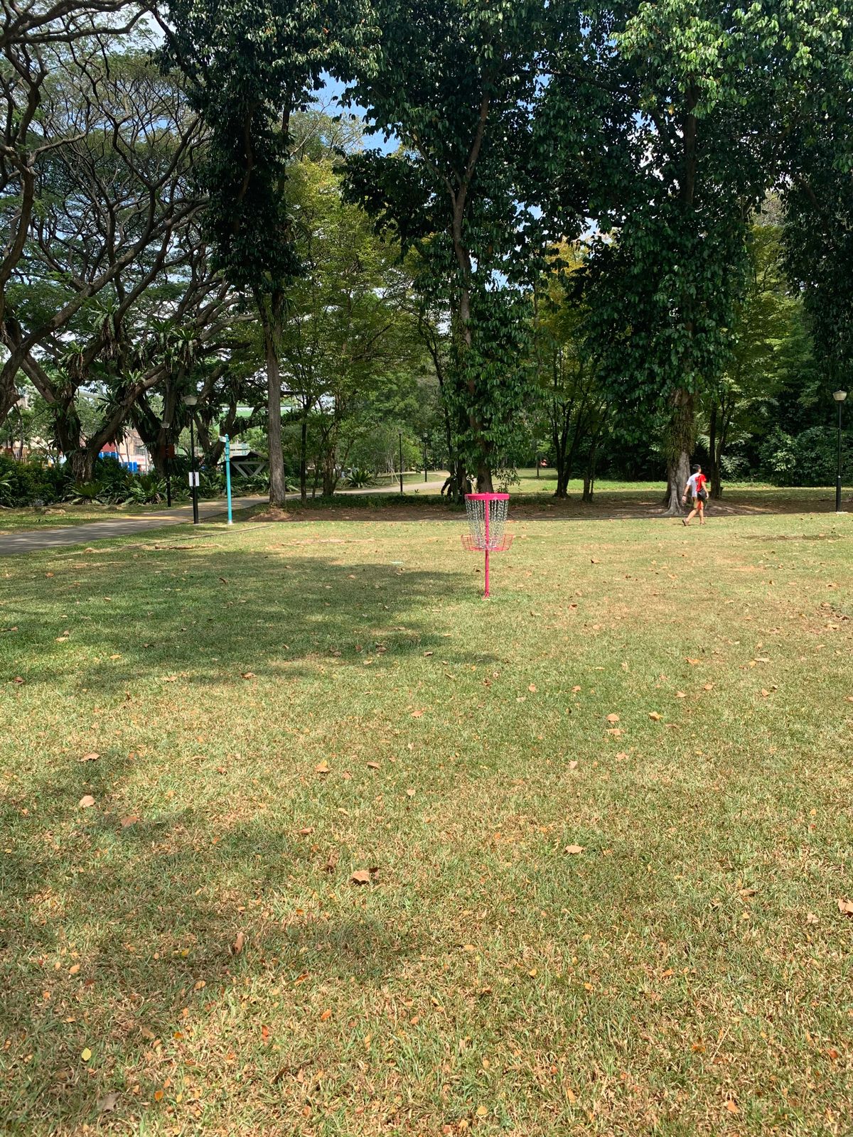 Hole 2 Basket