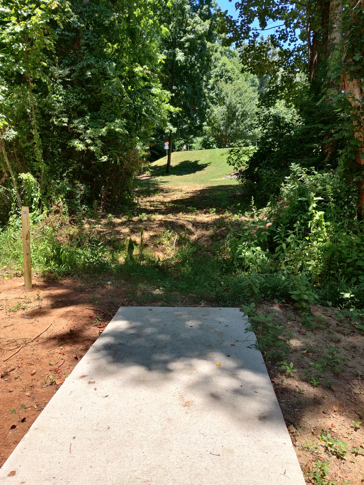 Hole 3. Looking at the basket from the tee pad.