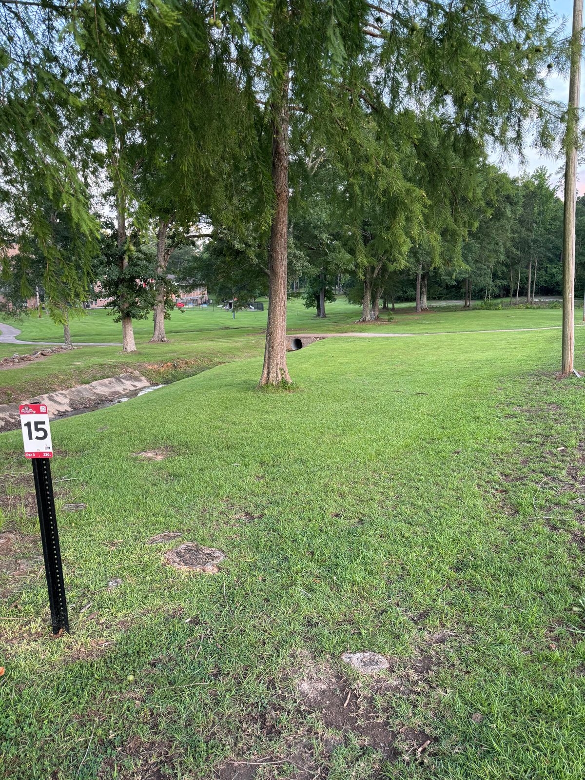 Hole 15 – Par 3