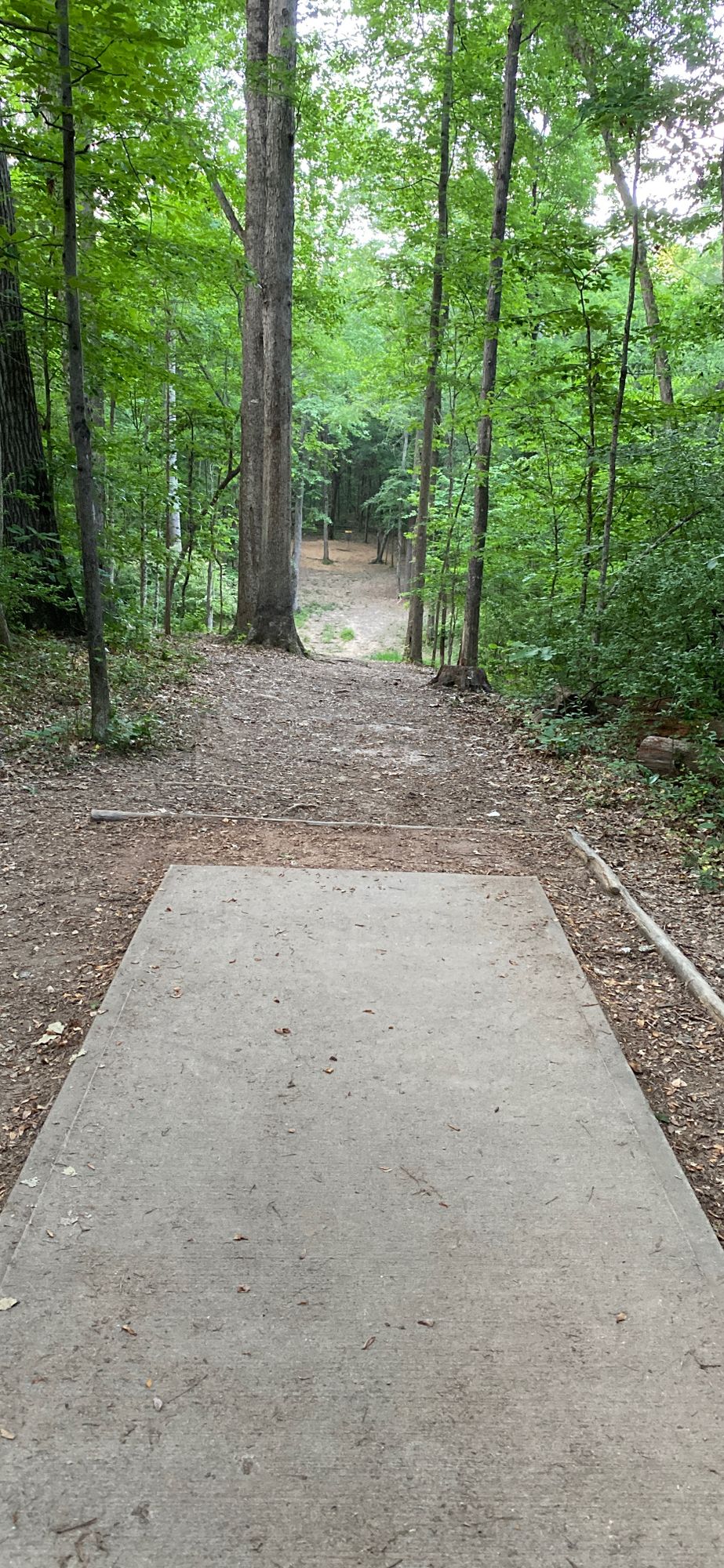 Hole 14 - 305 ft - Par 3
