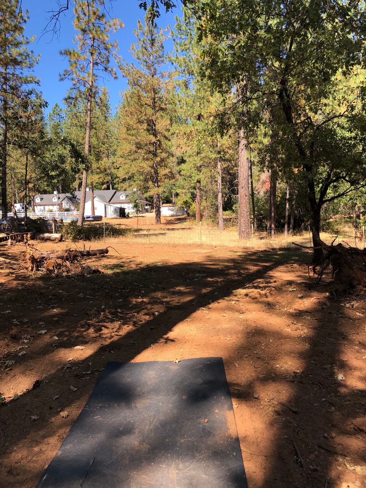Tee 16