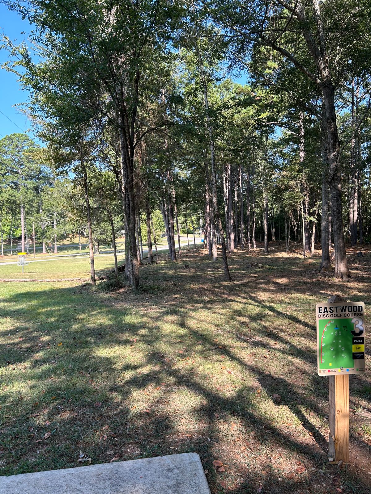 Hole 3 Tee