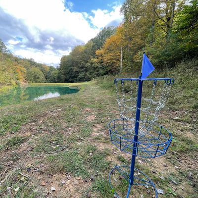 Hole 6 Basket