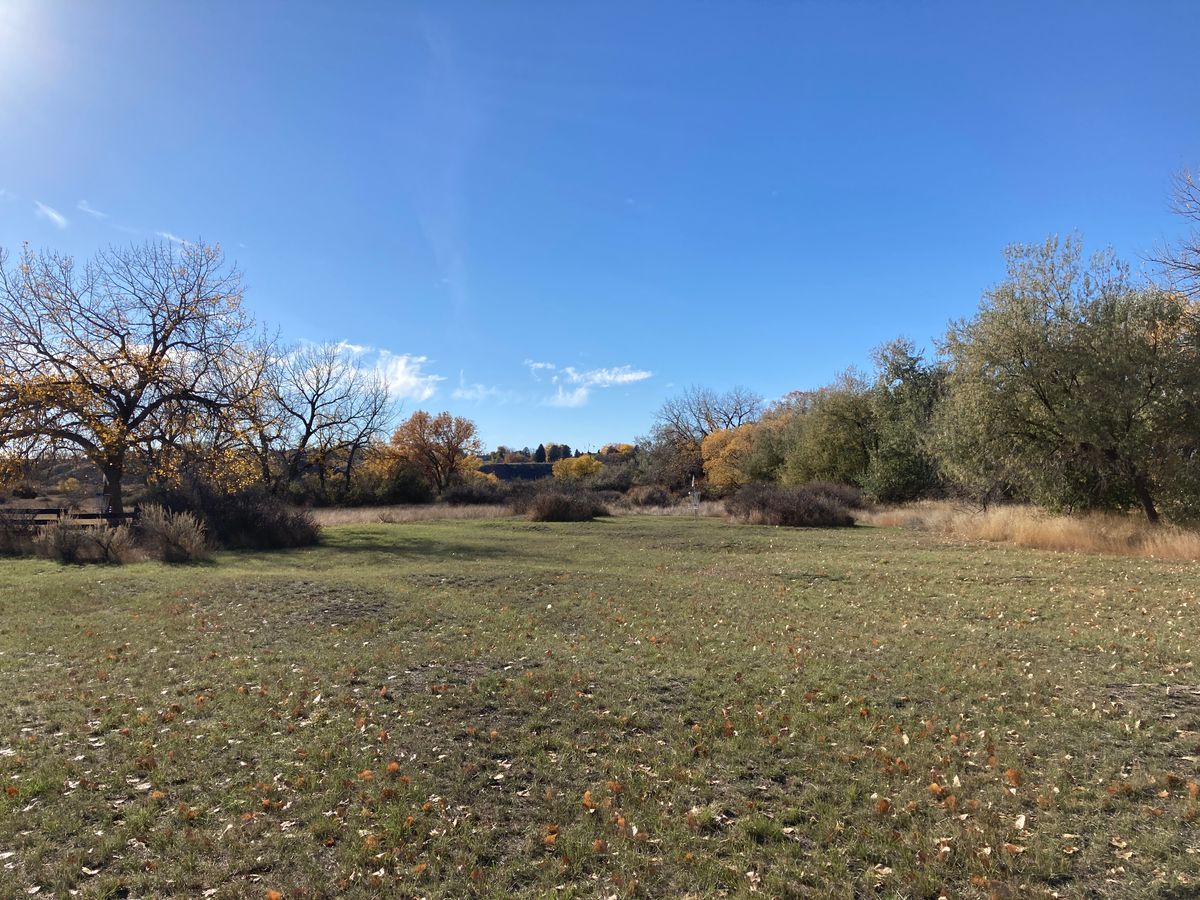 Hole 5 fairway, white basket in the right, blue basket on the left behind a wall and under a tree