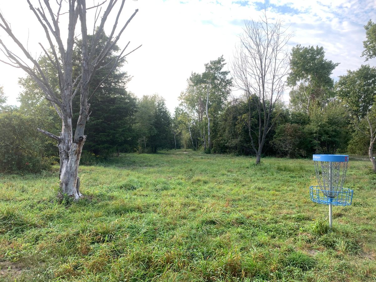 Hole 7 - early evening in late summer