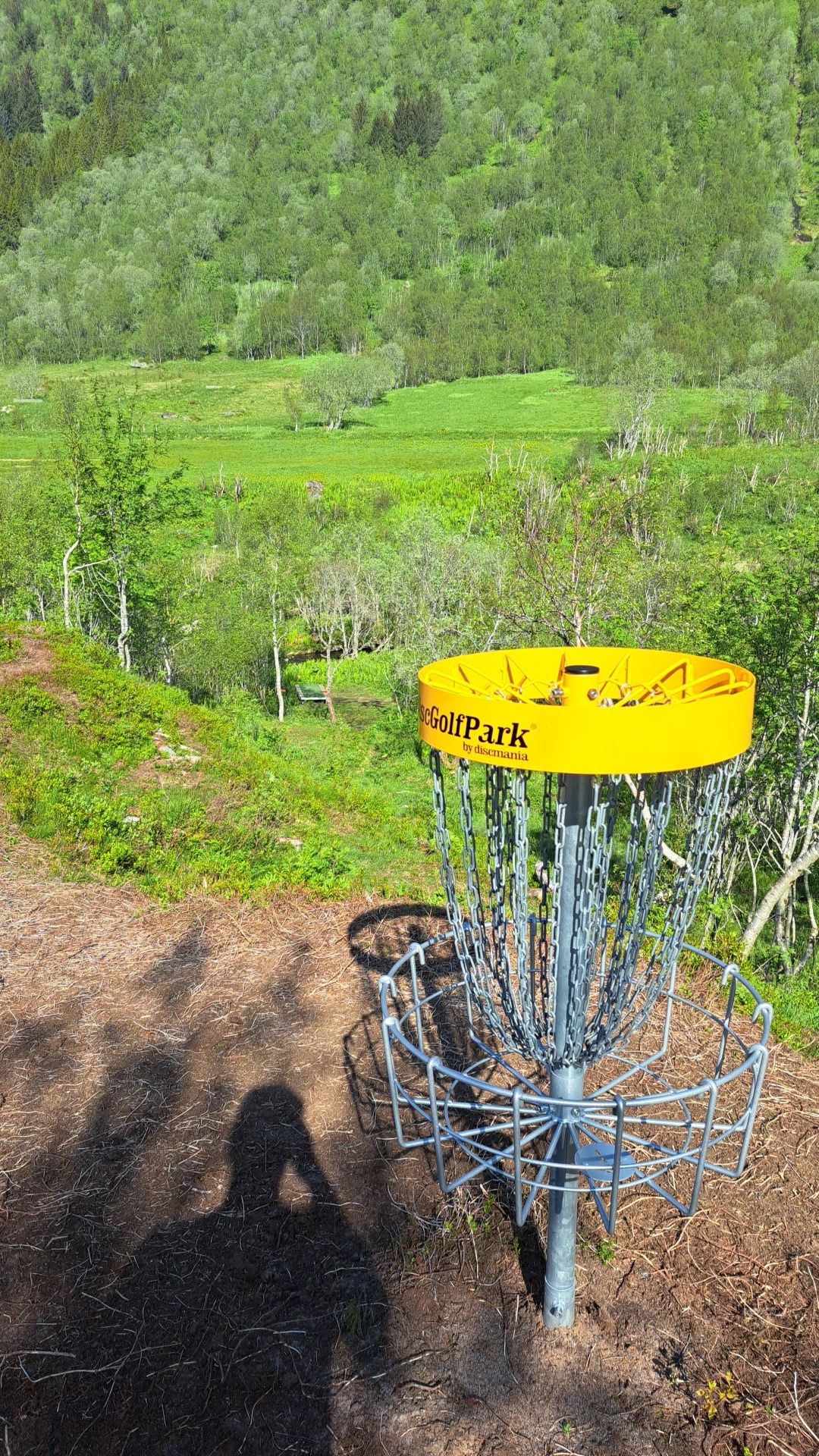 Kurv 6