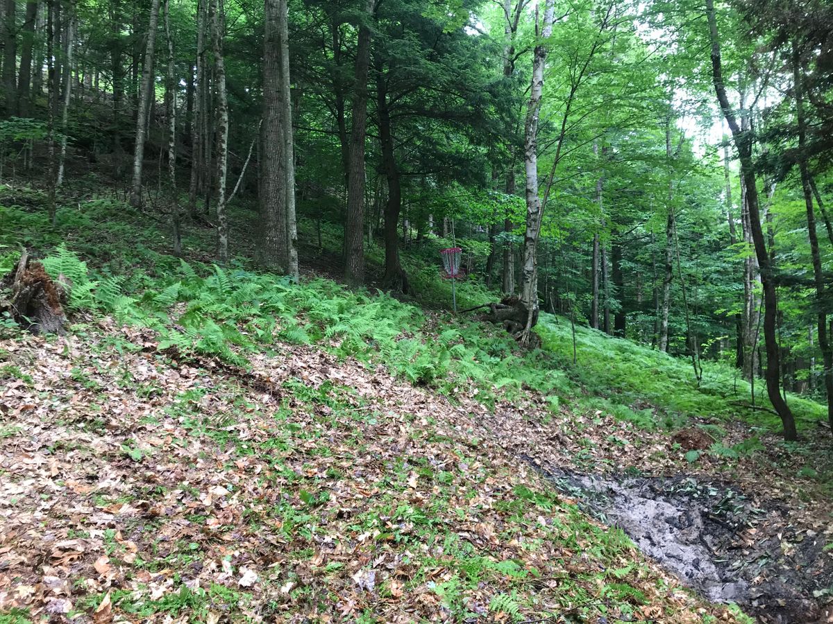 Hole 6 green.