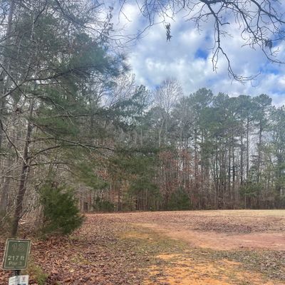 Hole 13 tee