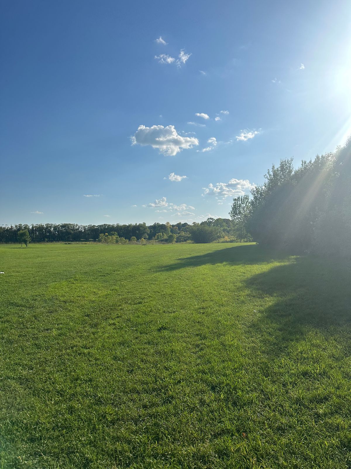 Hole 6s fairway