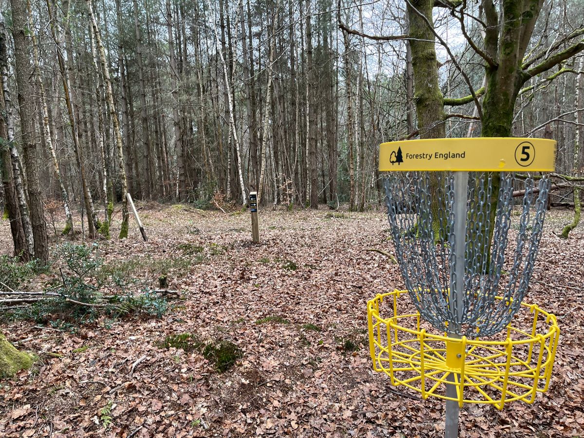 Basket 5 to next tee