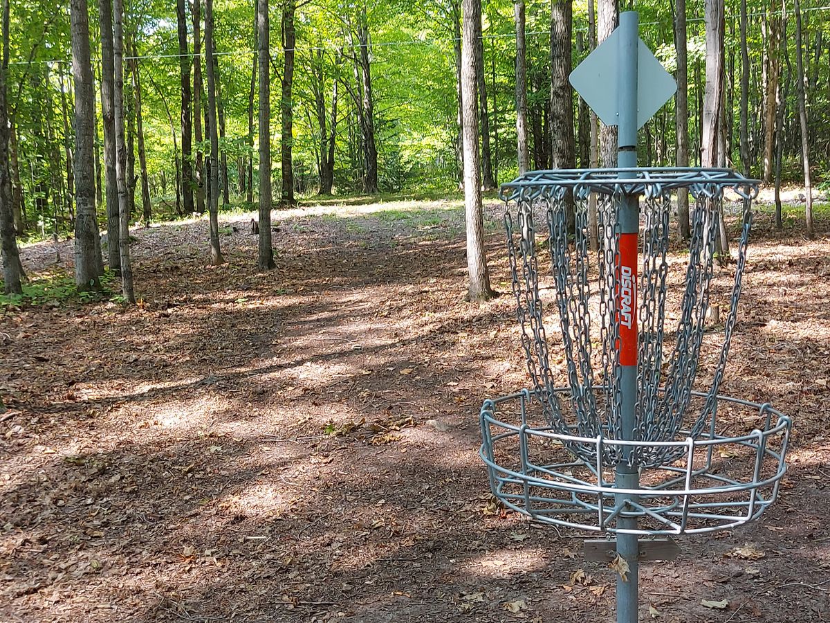 Reverse back up the fairway on hole 5.👍🪵👍🪵