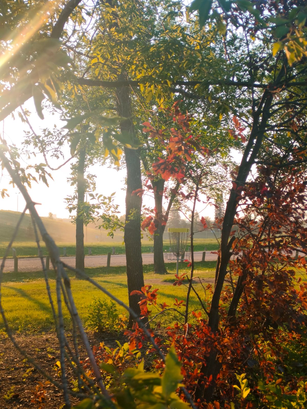 Gorgeous sun rays peeking through hole #2