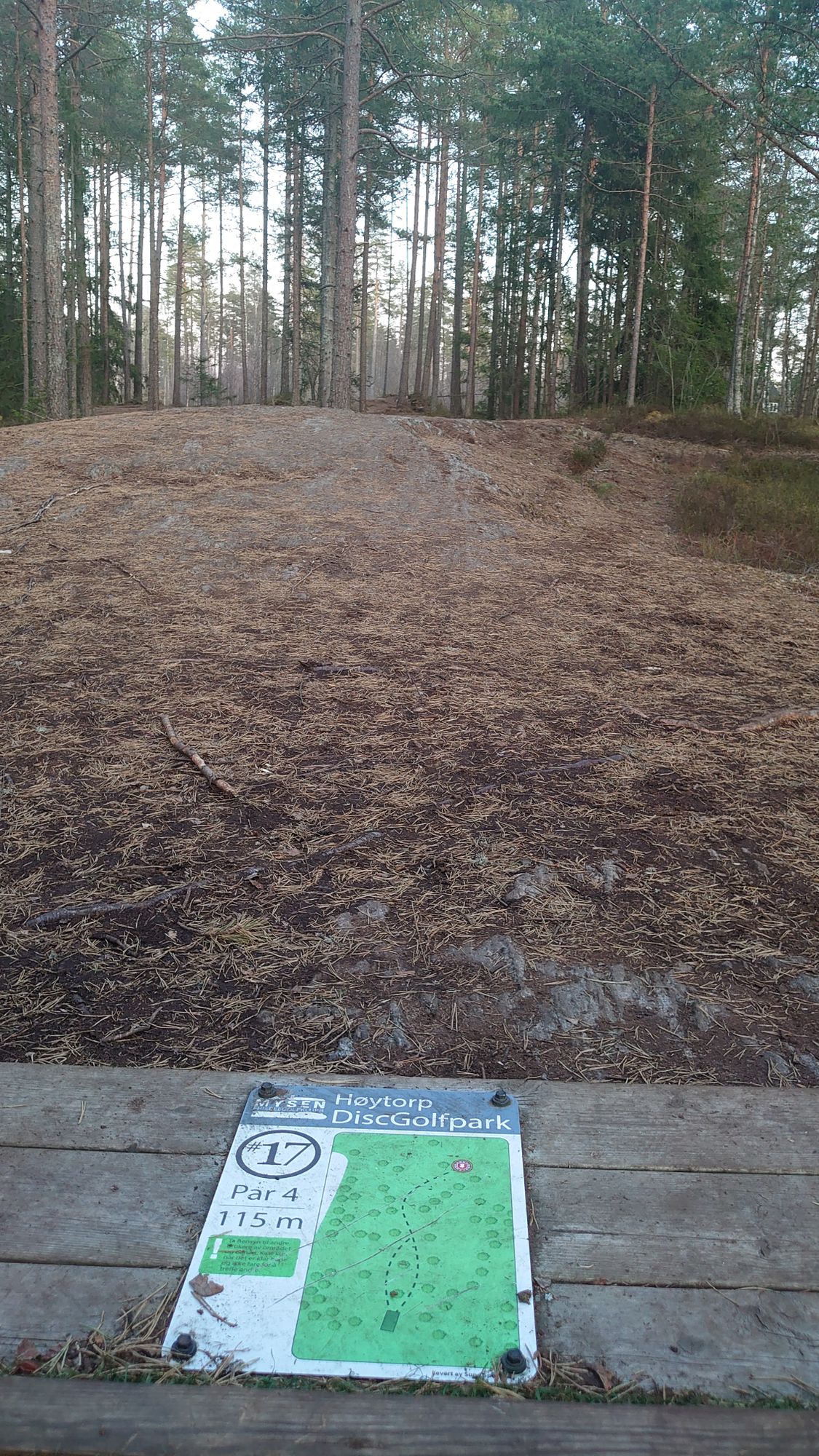 Hull 17 par 4