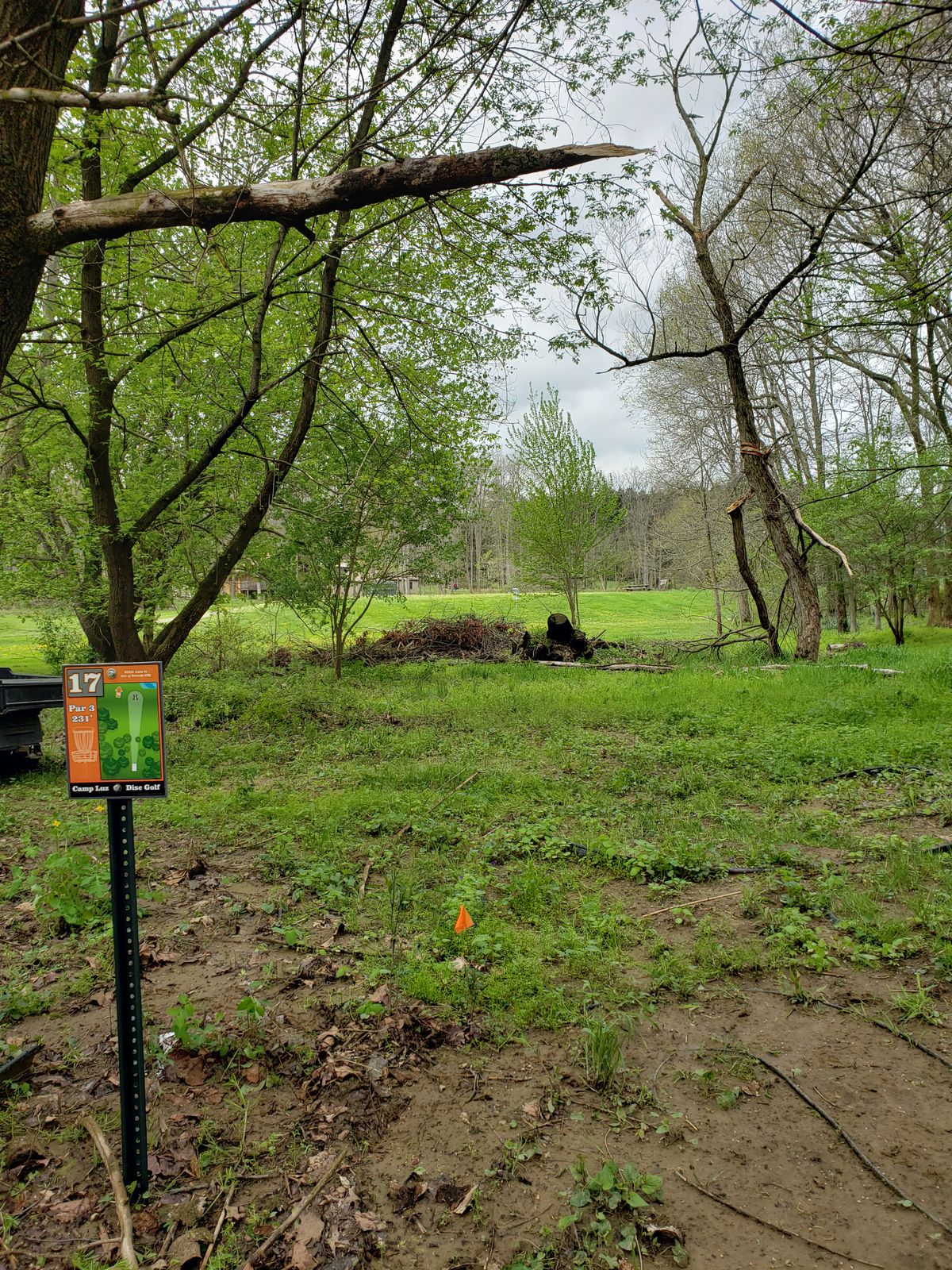 Stump and brush pile have bee removed.  Tournament play includes a mando to the right of the small tree in the center, to avoid drives encroaching on the tee of 12.