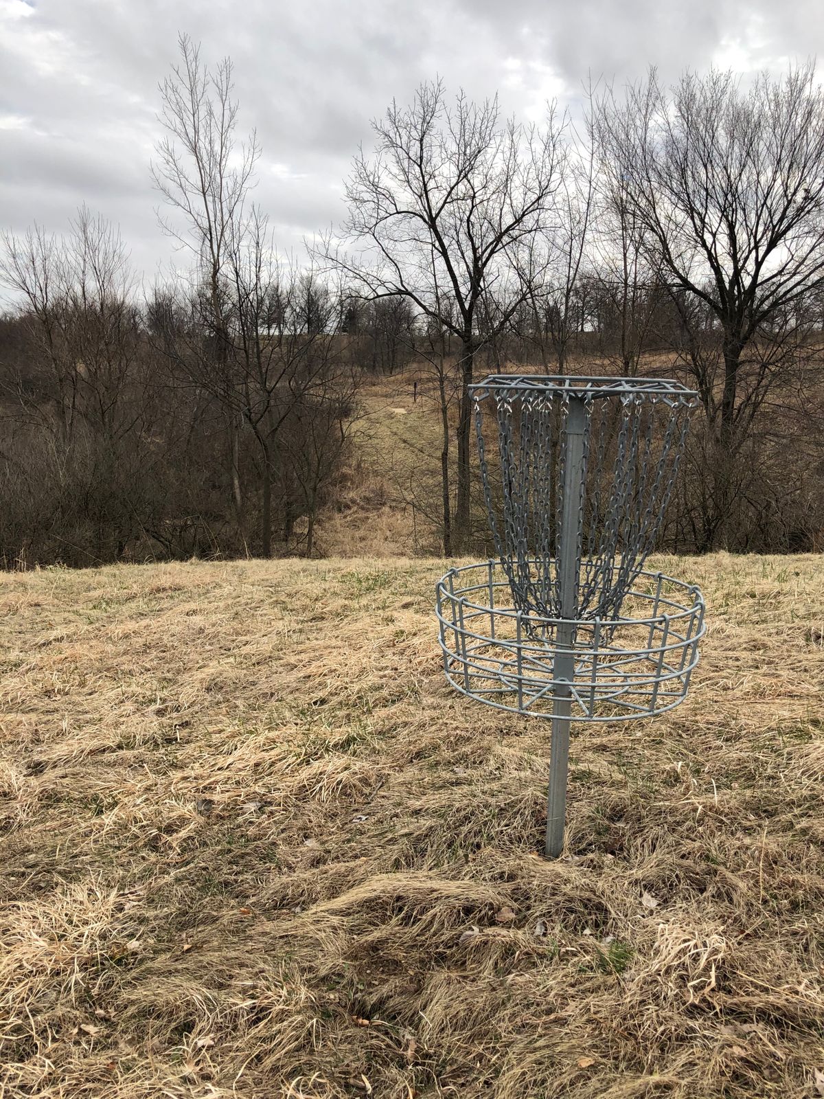 16 pin looking back