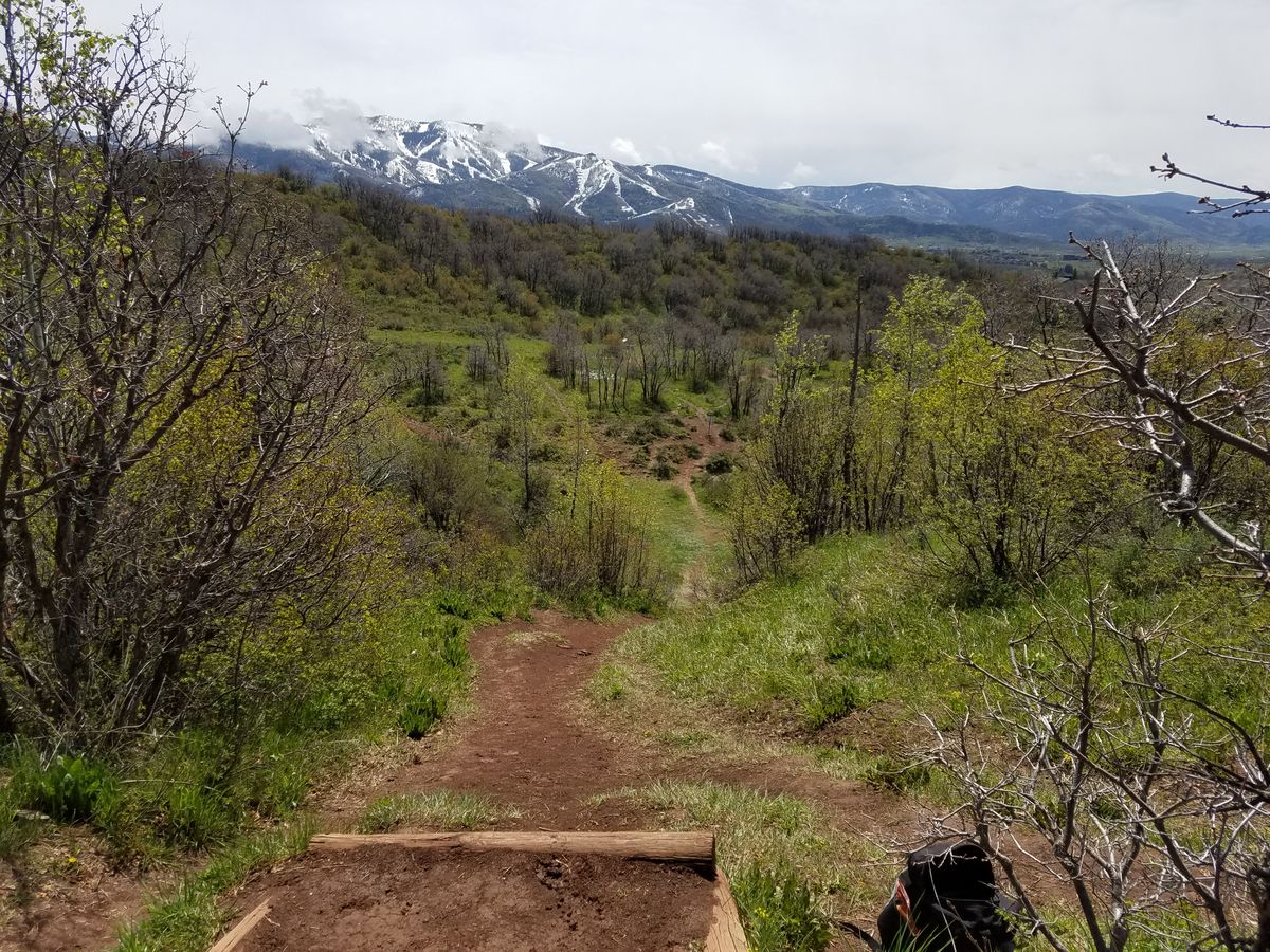 Teepad hole 8