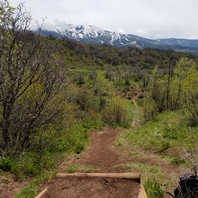 Teepad hole 8