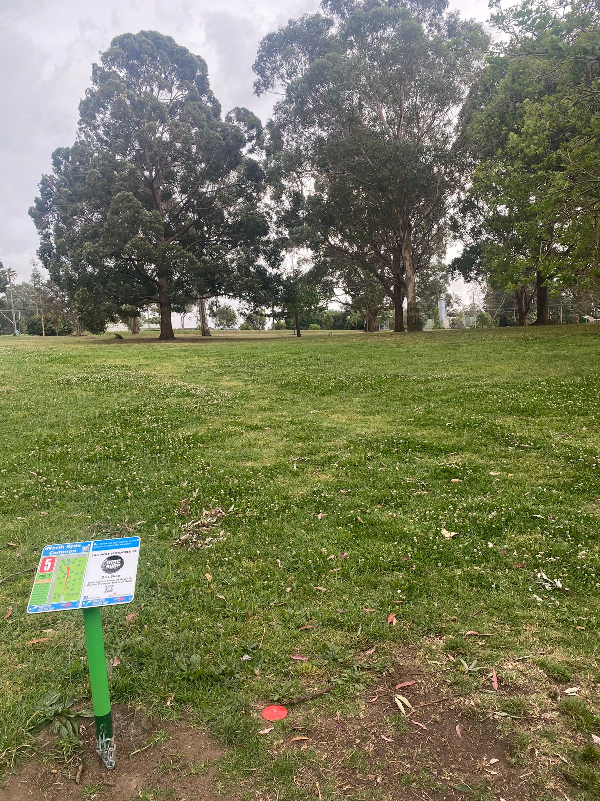 Hole 5 Fairway