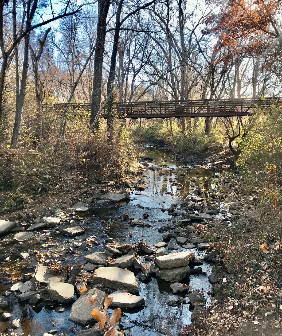 Shunga Creek