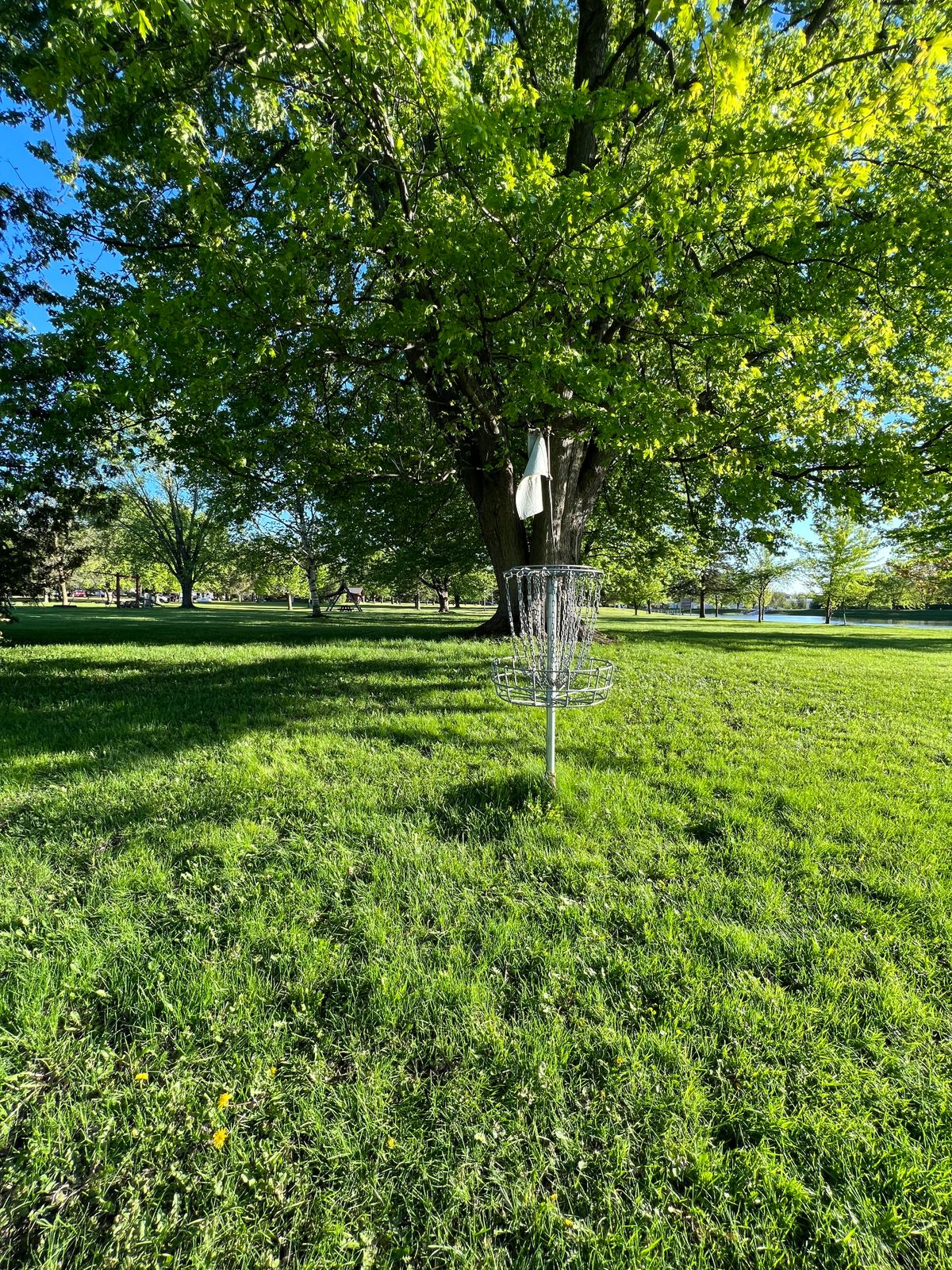 Basket for hole 5