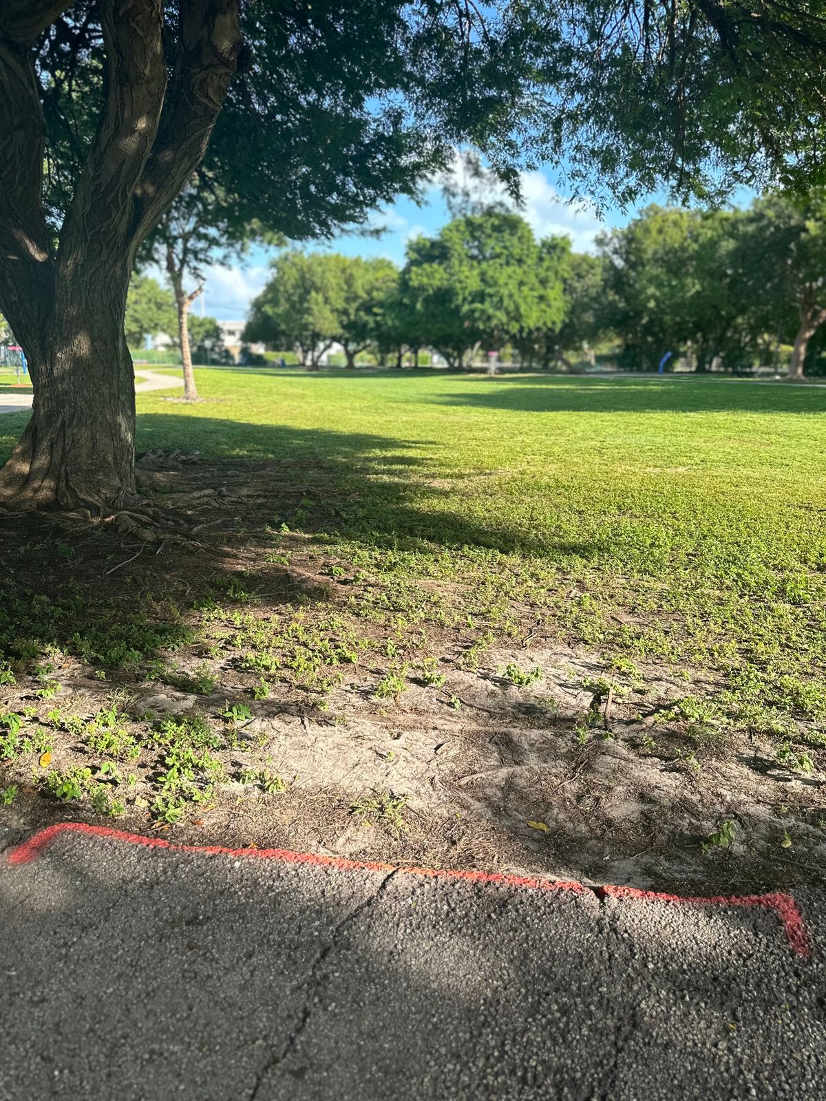 Shorts Tee Pad 5