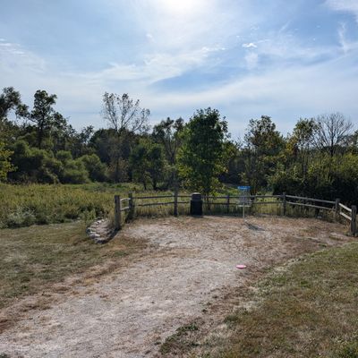 Hole 11's scenic basket